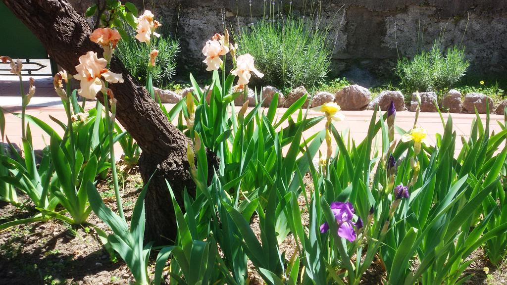 Seafront Apartments Garden House Taormina Quarto foto